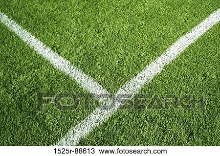 Soccer field with a white line on top of green grass View Large Photo Image Stock Image - Soccer field with a white line on top of green grass. Fotosearch
