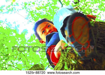Low angle view of a boy sitting on a fallen tree View Large Photo Image Stock Image - Low angle view of a boy sitting on a fallen tree. Fotosearch