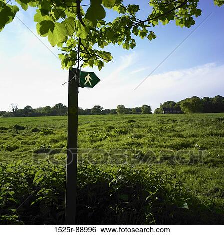Stock Photograph - Pedestrian crossing sign in a field. Fotosearch