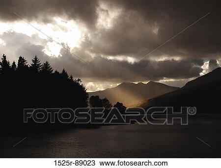 Silhouette of trees along a river View Large Photo Image Stock Image - Silhouette of trees along a river. Fotosearch