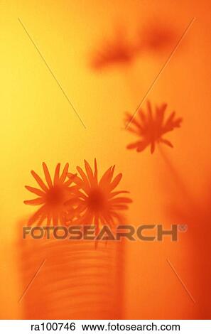 Abstract flowers View Large Photo Image Stock Photograph - Abstract flowers. Fotosearch