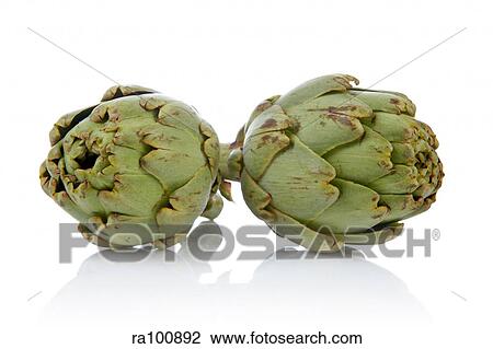 Artichoke View Large Photo Image Stock Image - Artichoke. Fotosearch