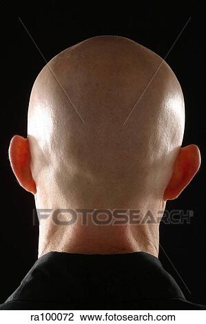 Bald head View Large Photo Image Stock Image - Bald head. Fotosearch