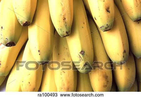 Stock Image - Bananas. Fotosearch