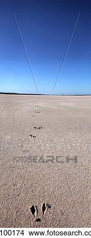 Beach foot prints View Large Photo Image Picture - Beach foot prints. Fotosearch