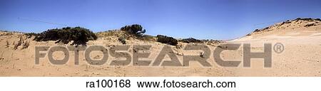 Beach panorama View Large Photo Image Stock Photo - Beach panorama. Fotosearch