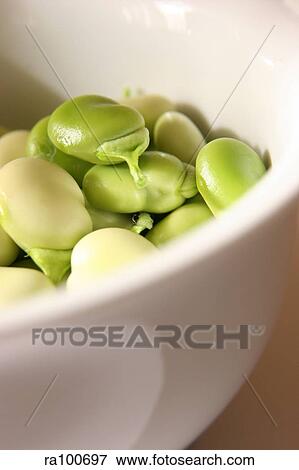 Bowl of greens View Large Photo Image Stock Photo - Bowl of greens. Fotosearch