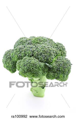 Broccoli View Large Photo Image Stock Image - Broccoli. Fotosearch