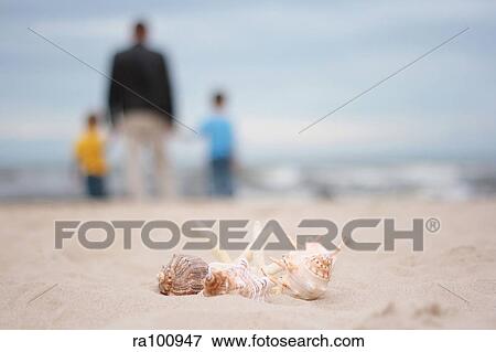 By the sea View Large Photo Image Stock Photo - By the sea. Fotosearch