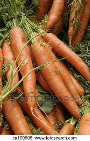 Carrots View Large Photo Image Stock Photo - Carrots. Fotosearch