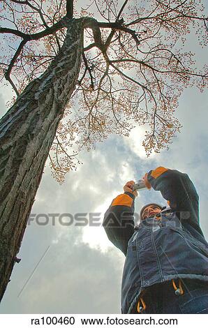 Stock Image - Catching the leaves. Fotosearch