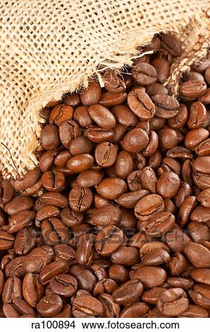 Coffee beans from sack View Large Photo Image Picture - Coffee beans from sack. Fotosearch
