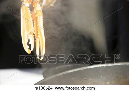 Cooking pasta View Large Photo Image Picture - Cooking pasta. Fotosearch
