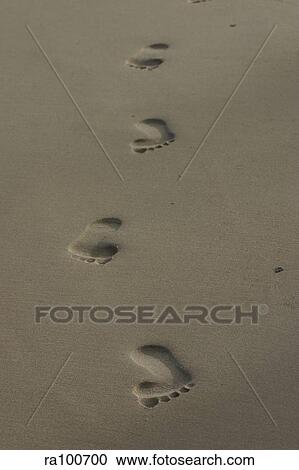 Stock Image - Footprints in the sand. Fotosearch