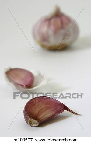 Garlic cloves View Large Photo Image Stock Photo - Garlic cloves. Fotosearch
