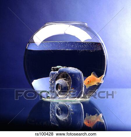 Stock Photo - Goldfish shooter. Fotosearch