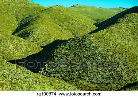 Green hills View Large Photo Image Picture - Green hills. Fotosearch