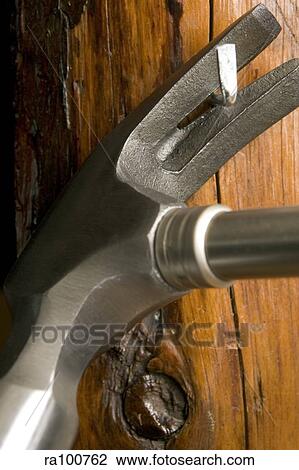Hammer claw View Large Photo Image Stock Image - Hammer claw. Fotosearch