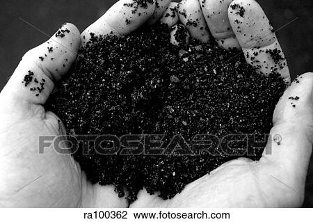 Stock Image - Hands of earth. Fotosearch