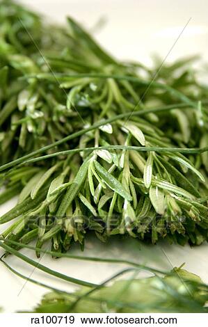 Herbs View Large Photo Image Stock Photo - Herbs. Fotosearch