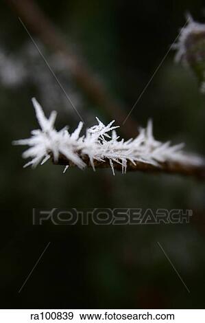 Stock Photo - Ice. Fotosearch