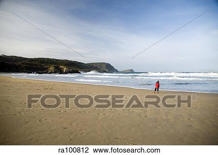 Isolated beach View Large Photo Image Stock Image - Isolated beach. Fotosearch