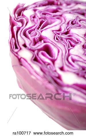 Stock Photo - Red cabbage. Fotosearch
