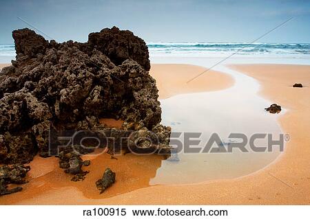 Rocky beach View Large Photo Image Stock Photography - Rocky beach. Fotosearch