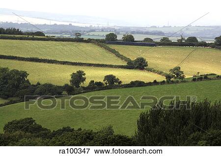 Rural landscape View Large Photo Image Stock Photo - Rural landscape. Fotosearch