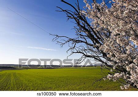 Rural scene View Large Photo Image Stock Image - Rural scene. Fotosearch