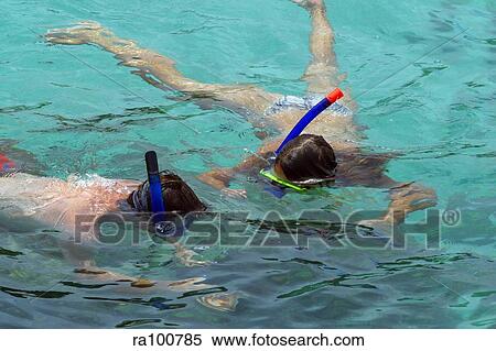 Snorkeling View Large Photo Image Stock Photography - Snorkeling. Fotosearch