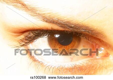 Staring eye View Large Photo Image Stock Photo - Staring eye. Fotosearch