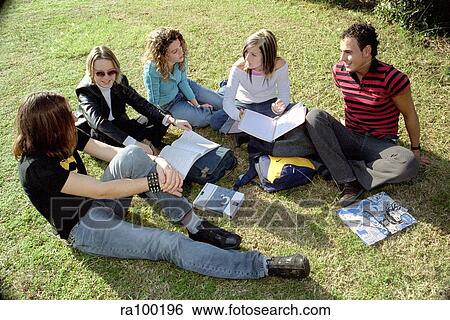 Students on a lawn View Large Photo Image Stock Photograph - Students on a lawn. Fotosearch