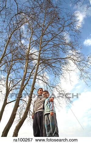 Trees behind boys View Large Photo Image Stock Photo - Trees behind boys. Fotosearch