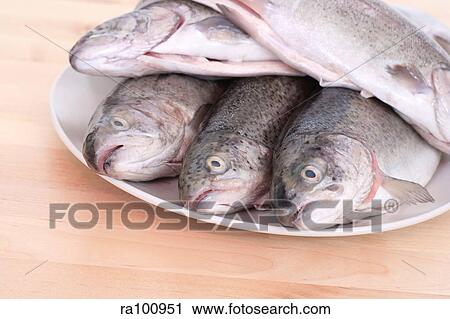 Trout View Large Photo Image Stock Image - Trout. Fotosearch
