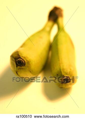 Two bananas View Large Photo Image Stock Image - Two bananas. Fotosearch