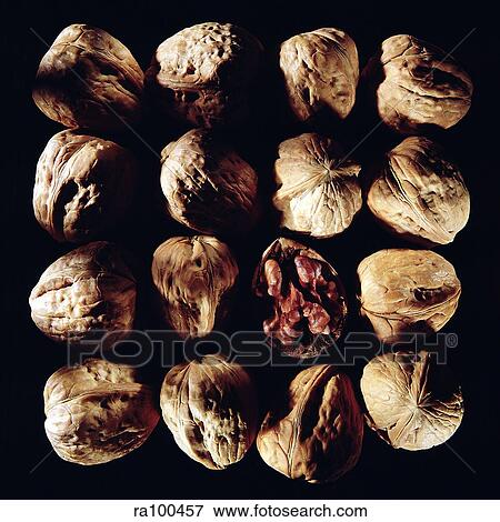 Walnuts View Large Photo Image Stock Photo - Walnuts. Fotosearch