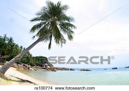 White sand beach View Large Photo Image Picture - White sand beach. Fotosearch