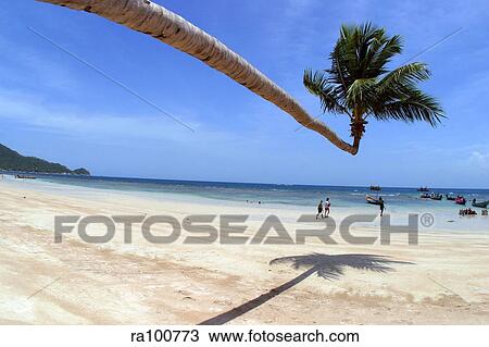 White sand beach View Large Photo Image Stock Image - White sand beach. Fotosearch
