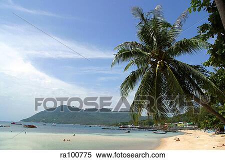 White sand beach View Large Photo Image Stock Photography - White sand beach. Fotosearch