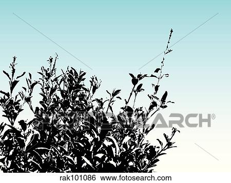 Bush silhouette View Large Illustration Stock Illustration - Bush silhouette. Fotosearch