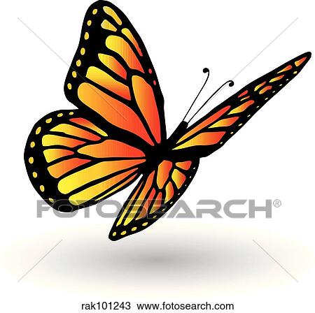 butterfly View Large Illustration Drawing - butterfly. Fotosearch