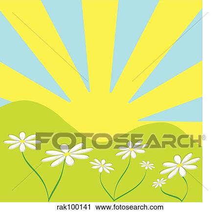 daisys View Large Illustration Clip Art - daisys. Fotosearch