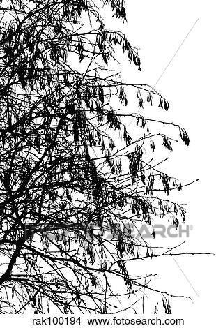 tree silhouette View Large Illustration Stock Illustration - tree silhouette. Fotosearch