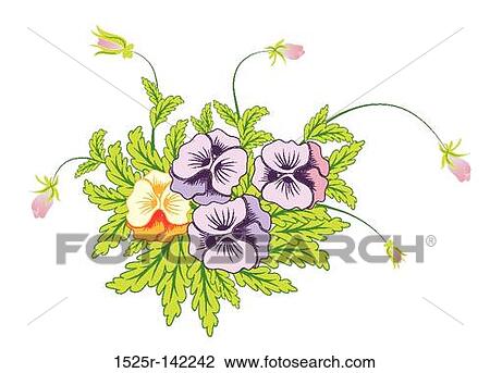 Bouquet of pansies View Large Illustration Drawing - Bouquet of pansies. Fotosearch