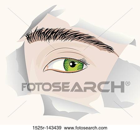 Stock Illustration - Eye. Fotosearch