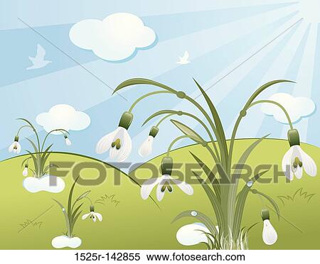 Stock Illustration - Flower background with snowdrop. Fotosearch