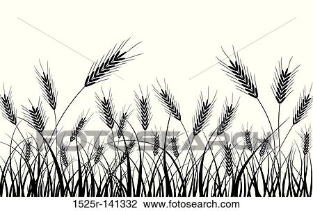 Grass and ears, vector View Large Illustration Drawing - Grass and ears, vector. Fotosearch