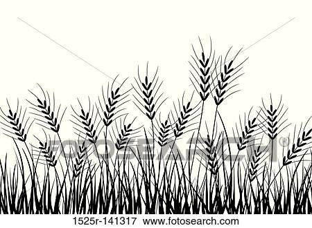 Grass and ears, vector View Large Illustration Stock Illustration - Grass and ears, vector. Fotosearch