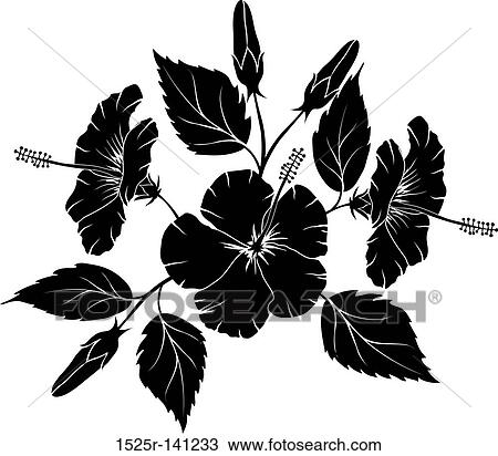 Hibiscus, vector illustration View Large Illustration Drawing - Hibiscus, vector illustration. Fotosearch